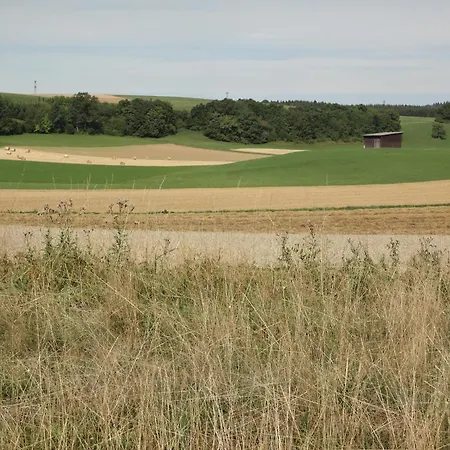 Schwarzwaldbahnhof 3* لوفنغن