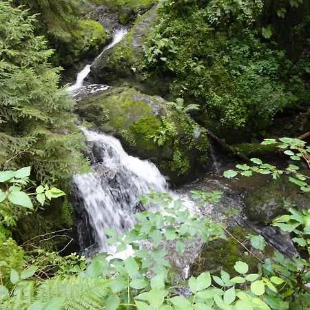 Schwarzwaldbahnhof 3* لوفنغن