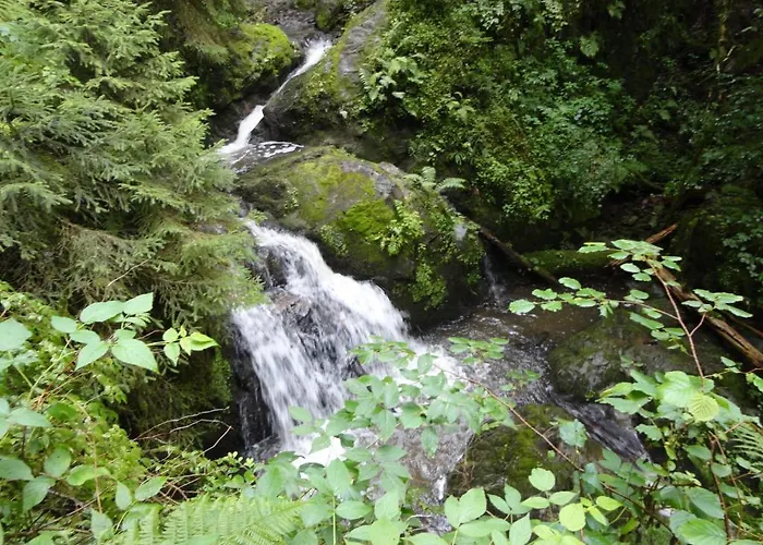 Schwarzwaldbahnhof 3* Löffingen