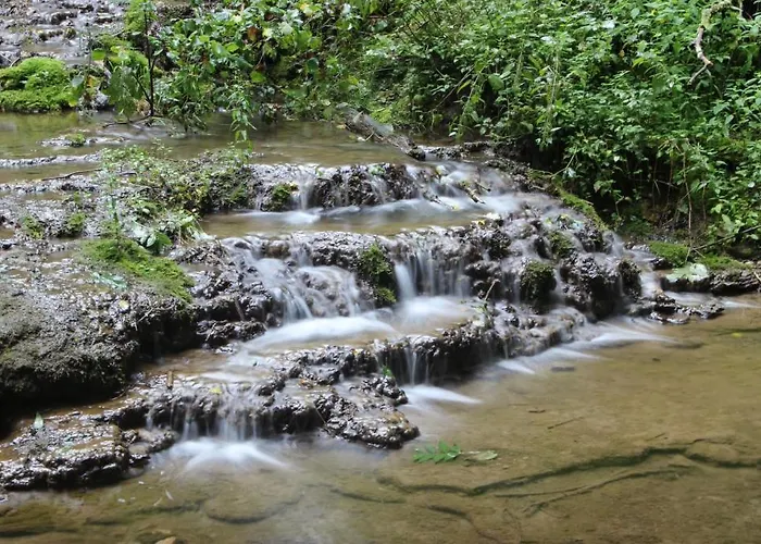 Vendégház Schwarzwaldbahnhof
